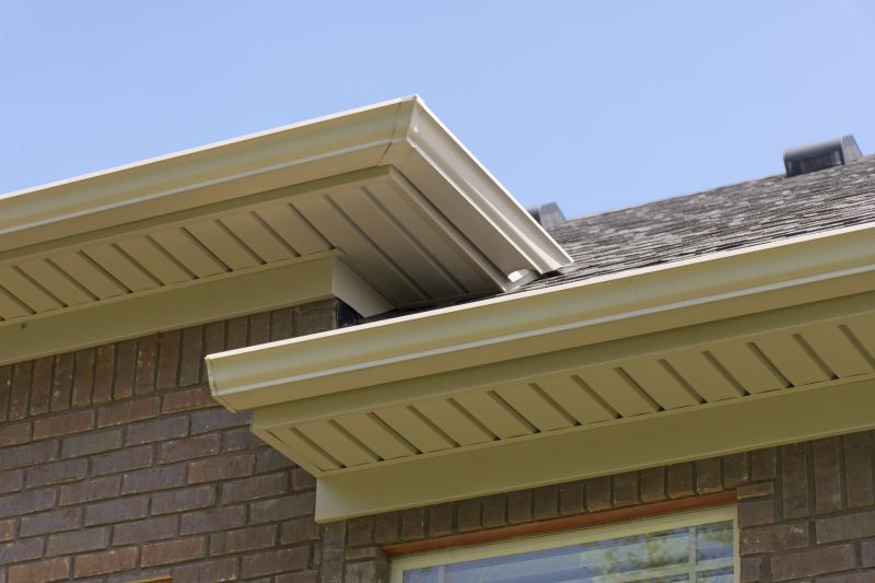 Gutter and Fascia Repair