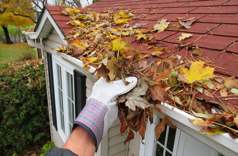 Autumn Roof Replacement