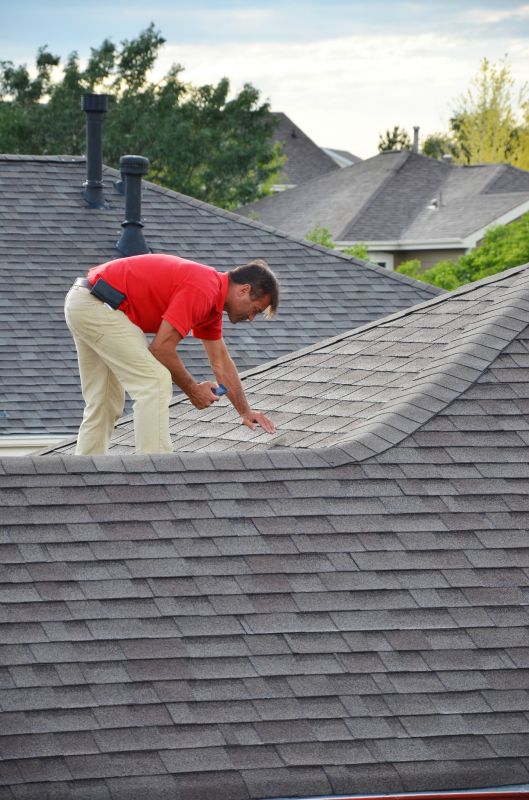 Roof Repair Experts